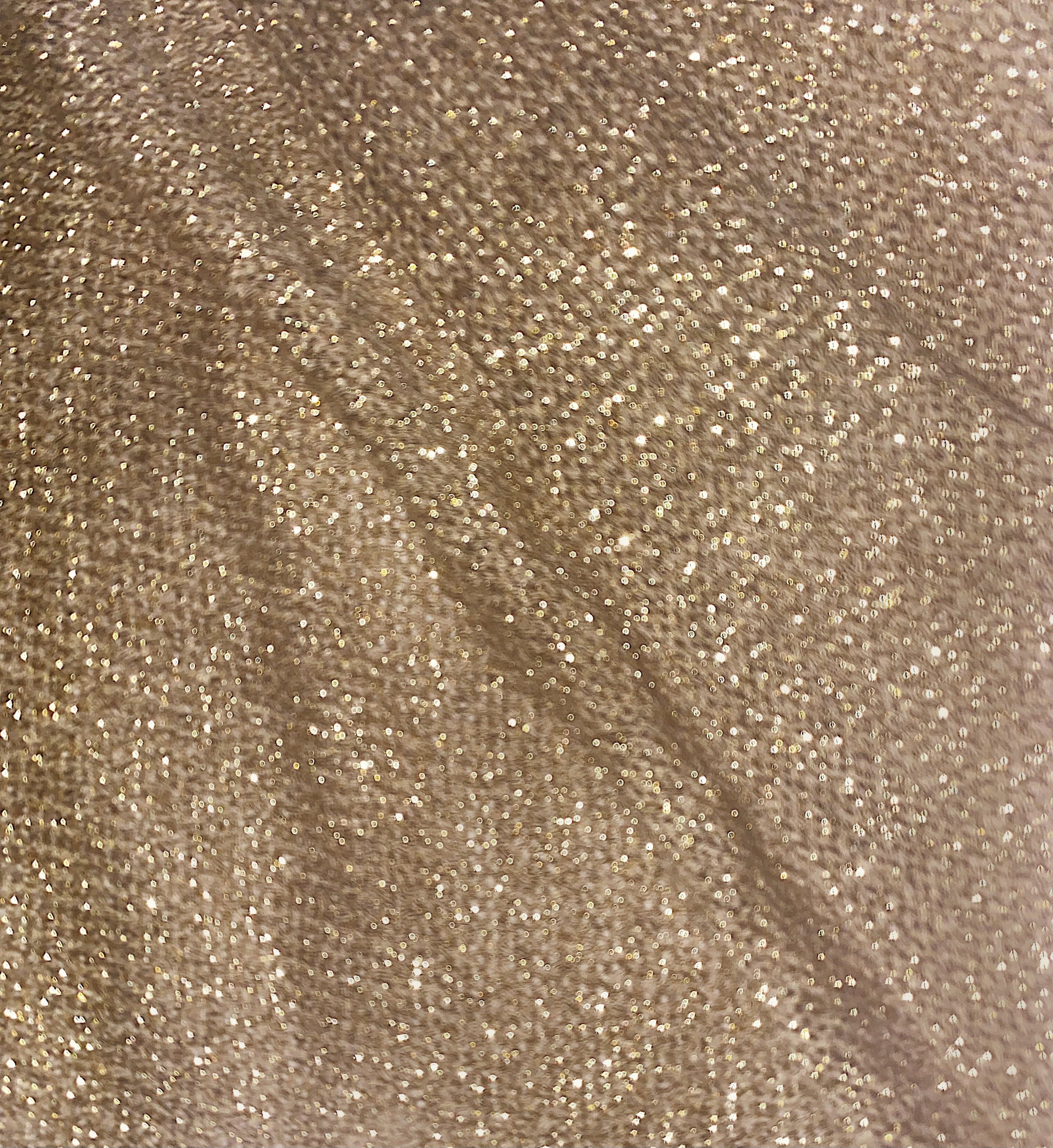 Cannes Glitter Dress